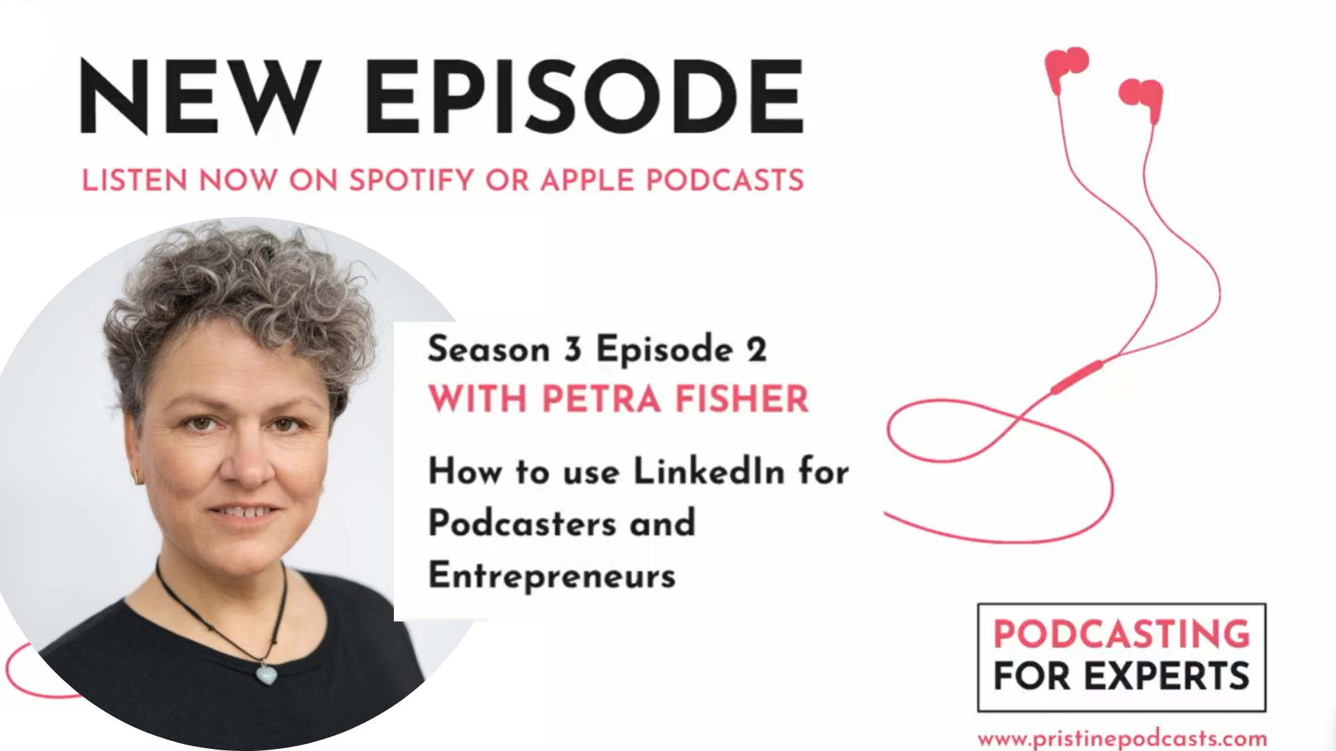 pristine podcast-featuring Petra Fisher-linkedin training