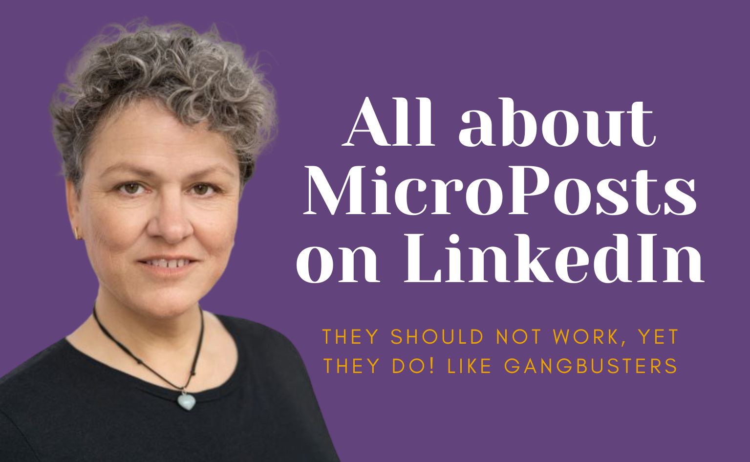 LinkedIn MicroPost Workshop by Petra Fisher your independent LinkedIn Training Consultant